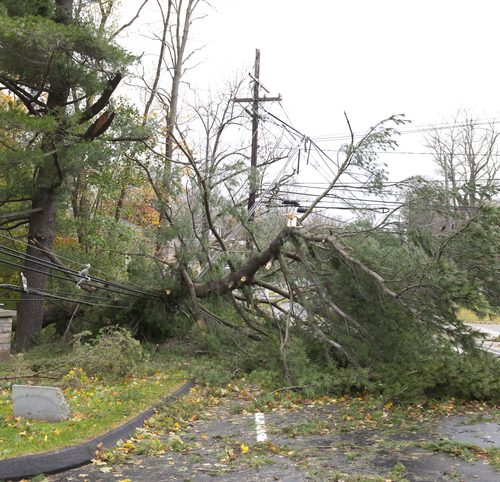 Crushed power line caused by fallen tree during Hurricane A huge pine tree lays on top of power lines in the aftermath of Hurricane Sandy, a powerful storm which crashed into the Eastern USA.
